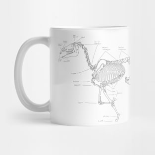 Skeleton horse anatomical sketch Mug